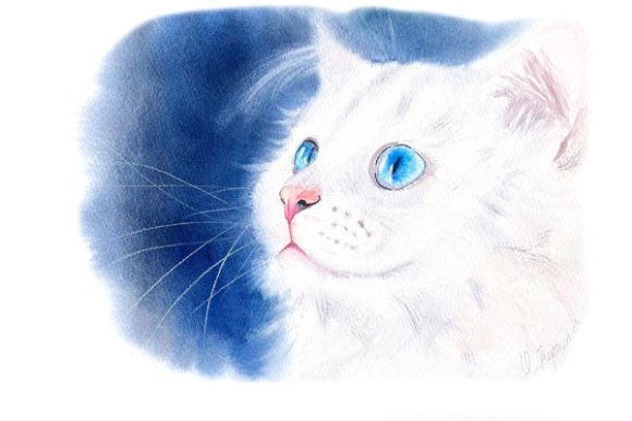 Download White Kitty Digital Prints PNG Files - Premium Resources