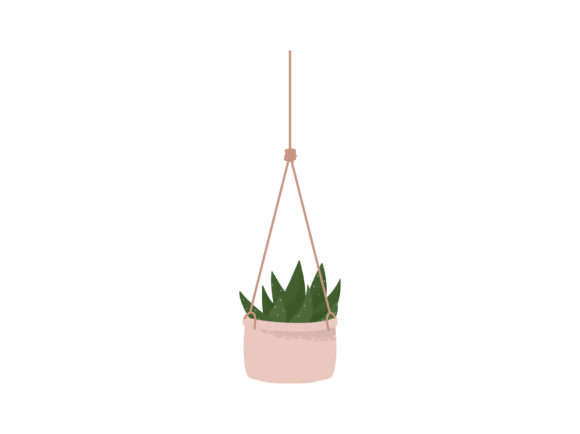 Download House Plant Aloe Hanging Macrame Planter - Premium Resources