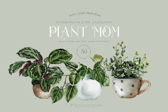 Download House Plants Illustrations and Patterns - House plant Collection