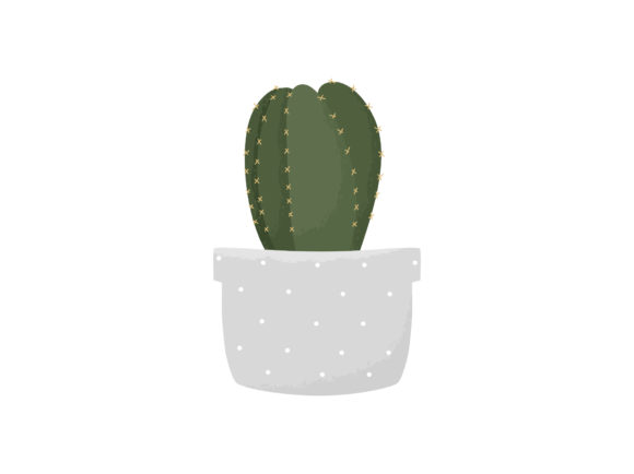 Download House Plant Tropical Cactus Flower Vase - Premium Bundle